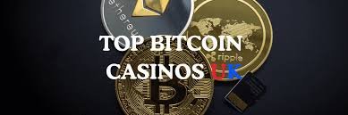 Exploring the Rise of Crypto Casinos The Future of Online Gambling