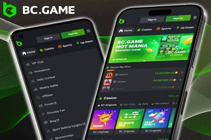 The Rise of BC.Game Online Casinos in Germany